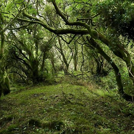 巴拉哈德林 Edmondstown House旅馆 外观 照片